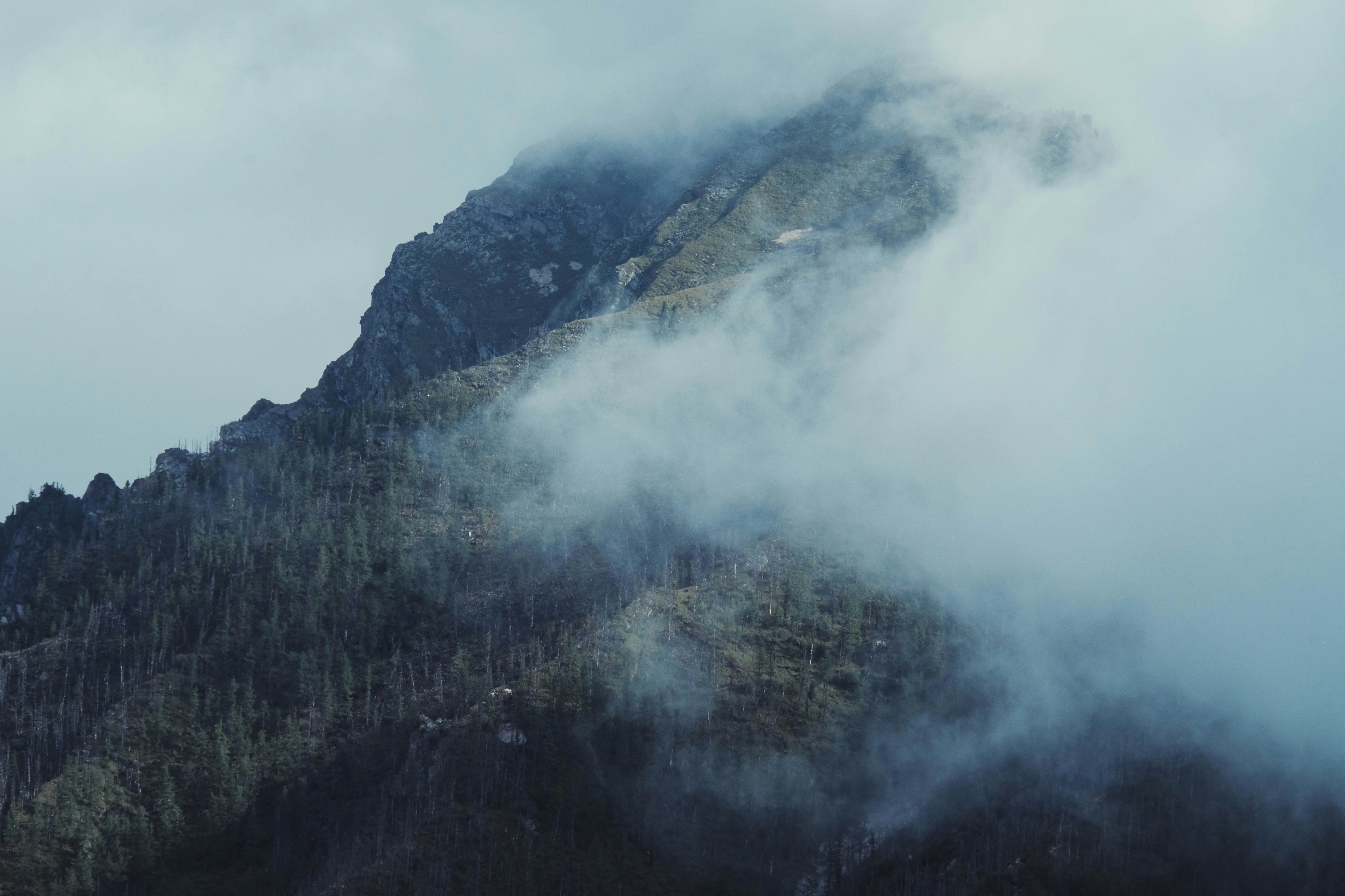 Photo by chromepinko