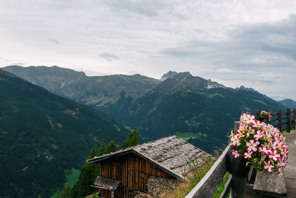 a view of a mountain