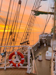 A cozy sailboat deck bathed in golden sunset light with two cats lounging near nautical gear.