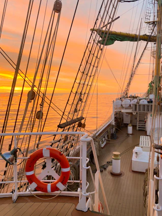 A cozy sailboat deck bathed in golden sunset light with two cats lounging near nautical gear.
