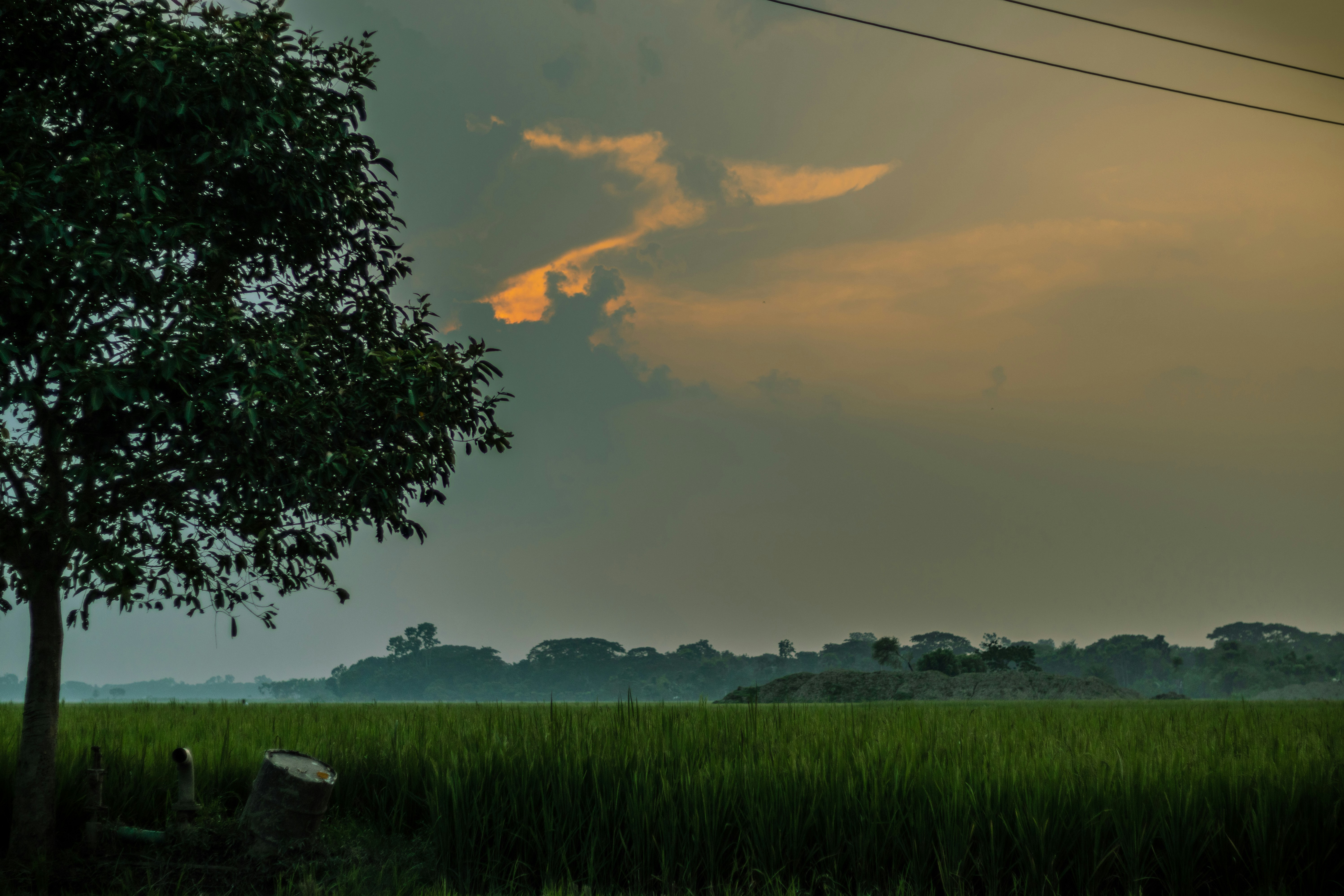 Photo by rafidtahmid