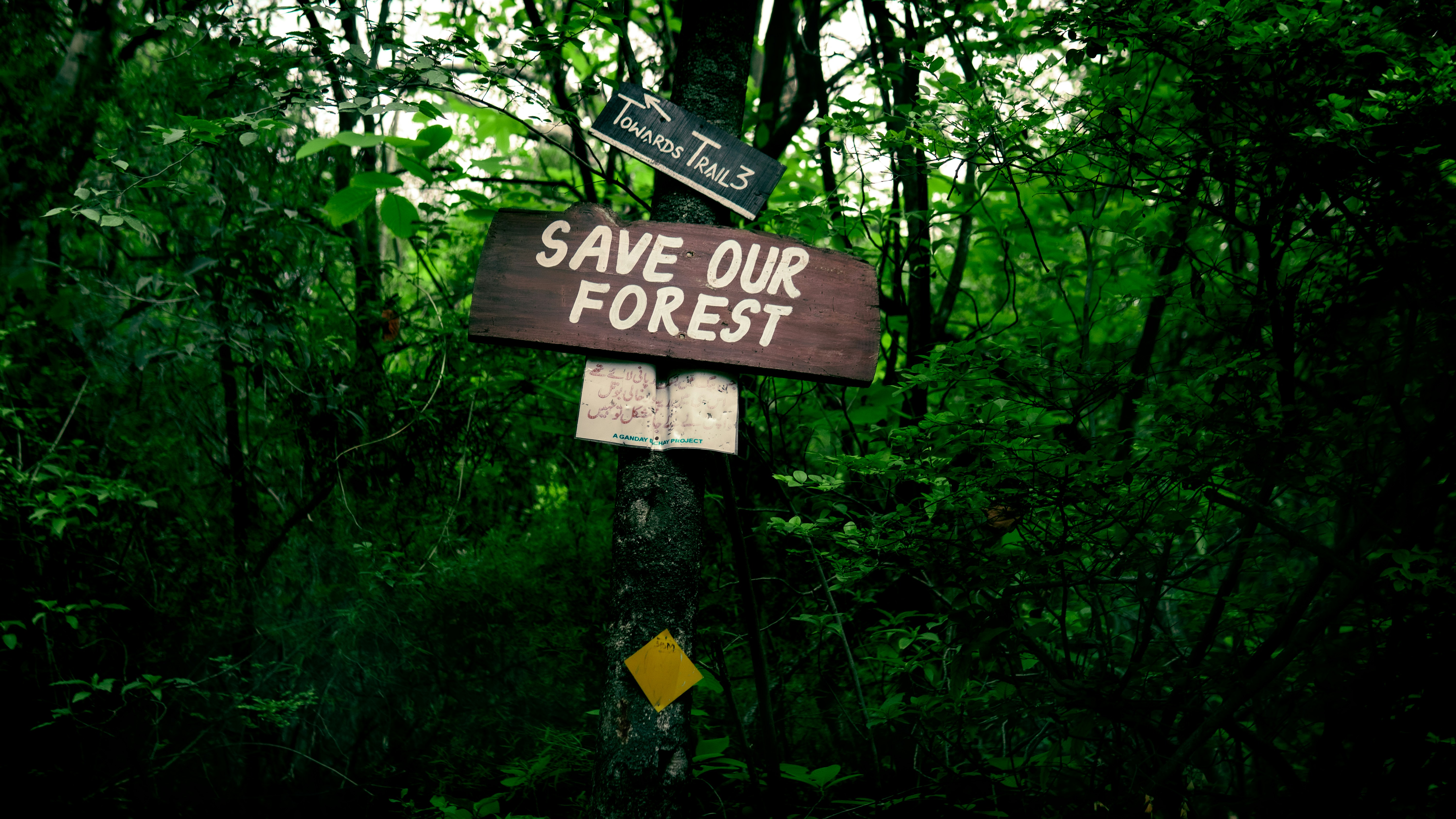道路標識のある看板