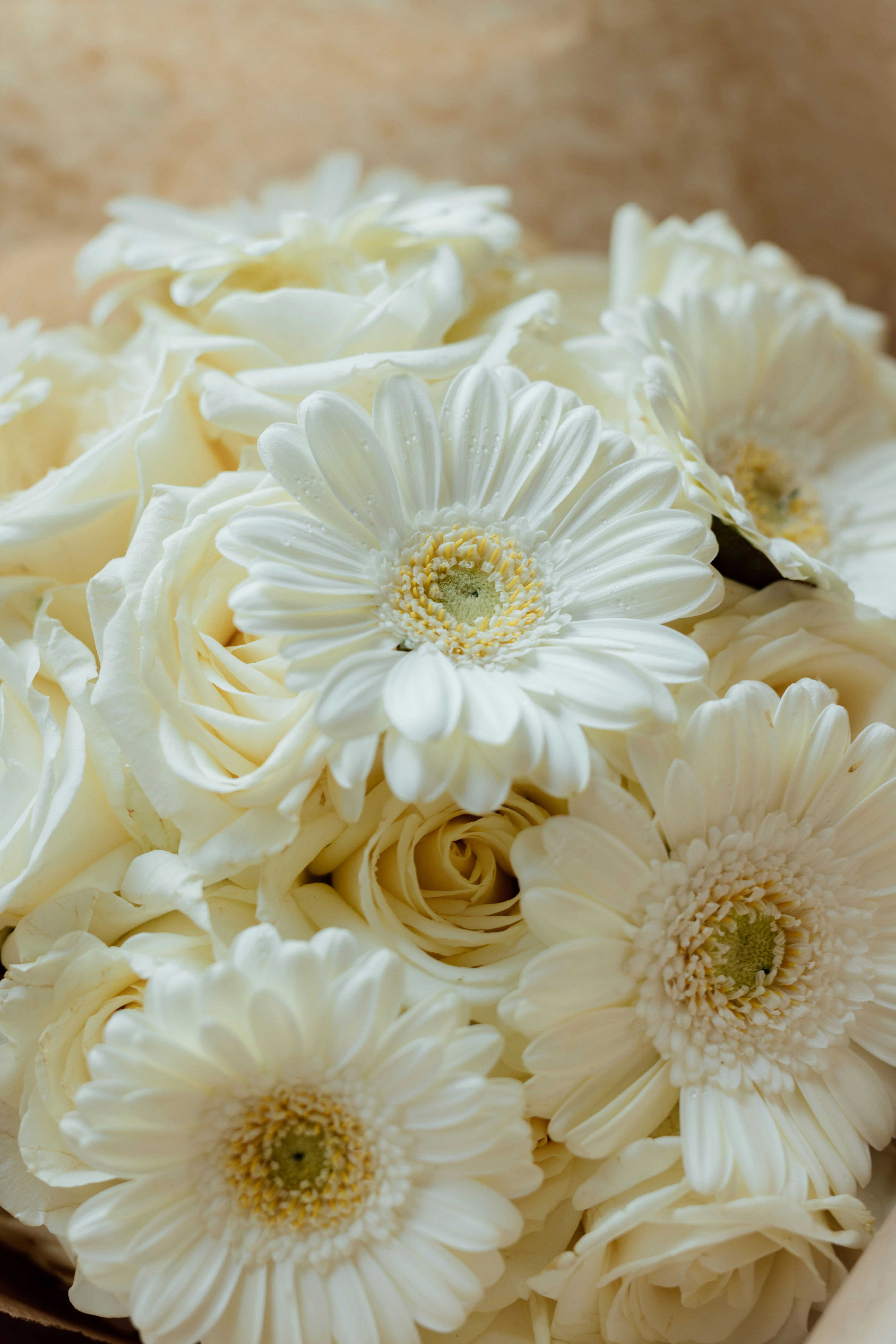 Photo by filipp_roman_photography