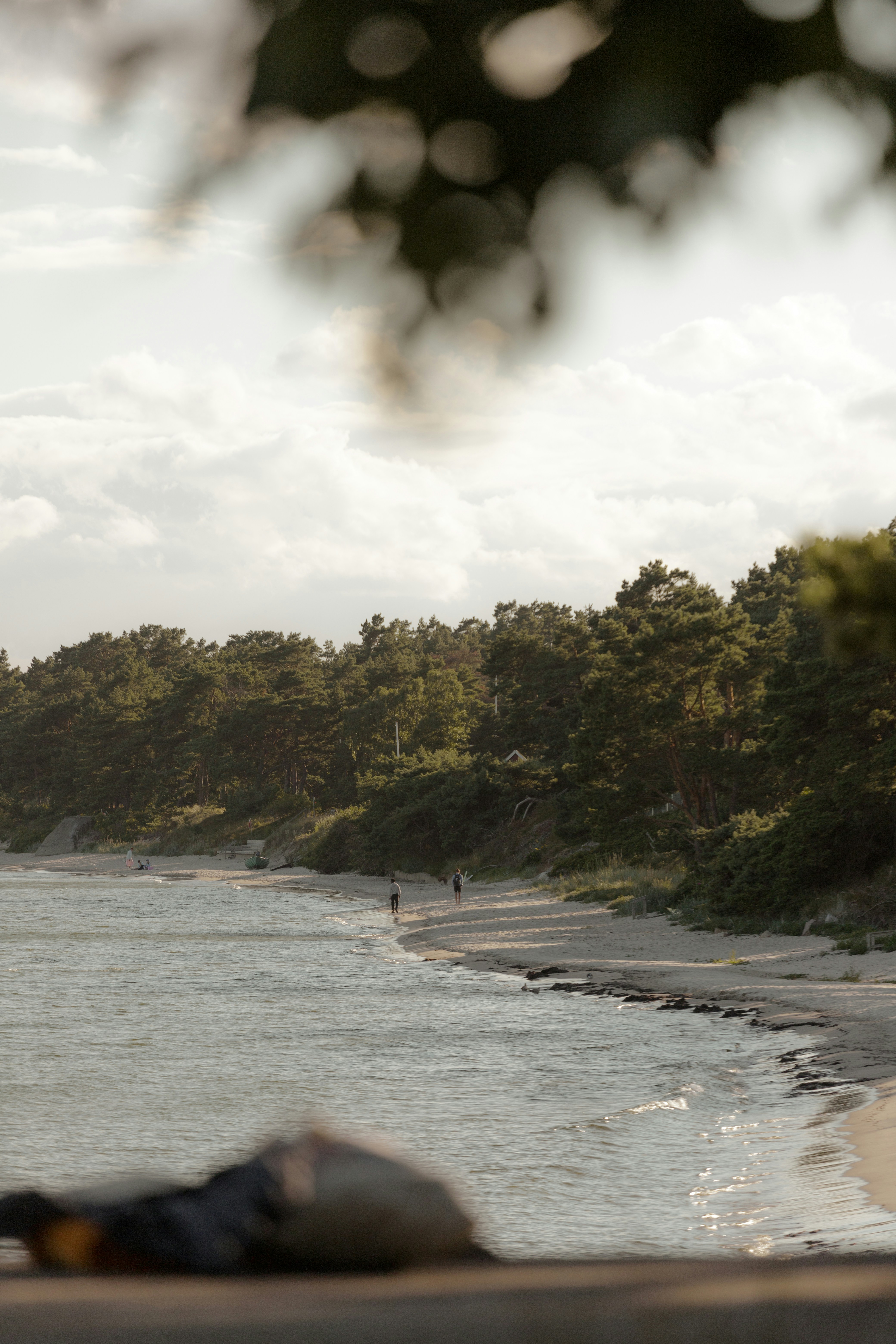 Photo by karlhornfeldt