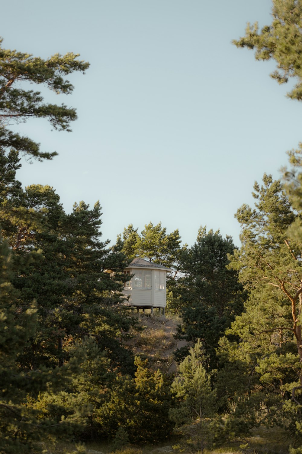 a building in the middle of a forest