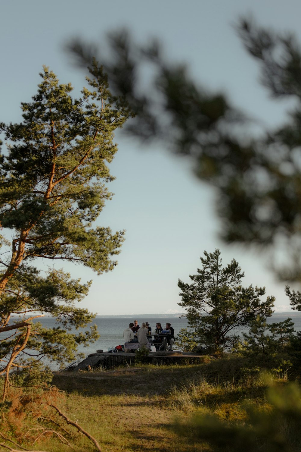 a group of people on a bench