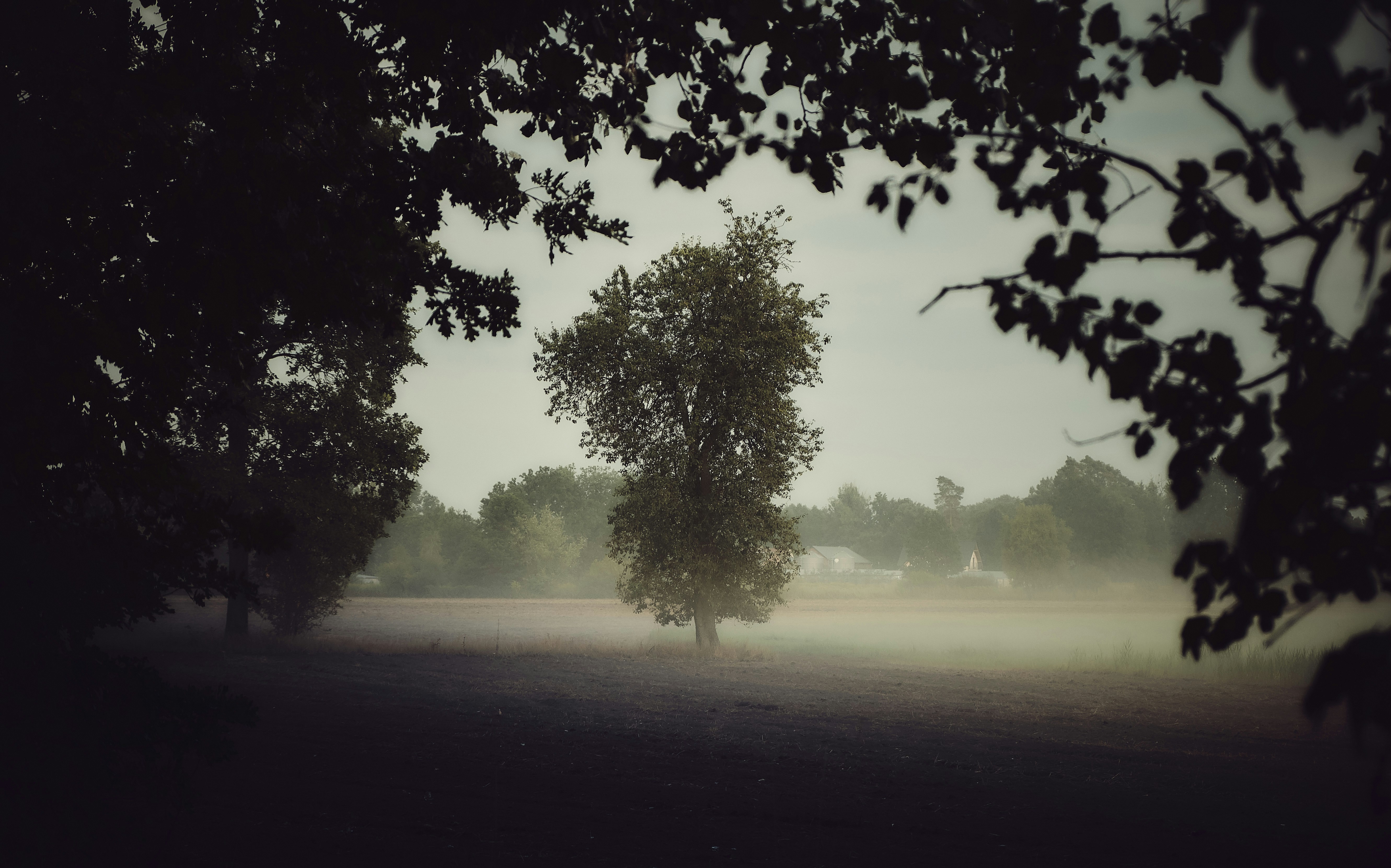 Photo by victor_vector