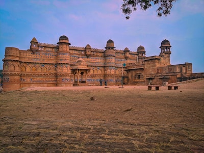 Intricate carvings on the ancient Jaisalmer Fort walls.