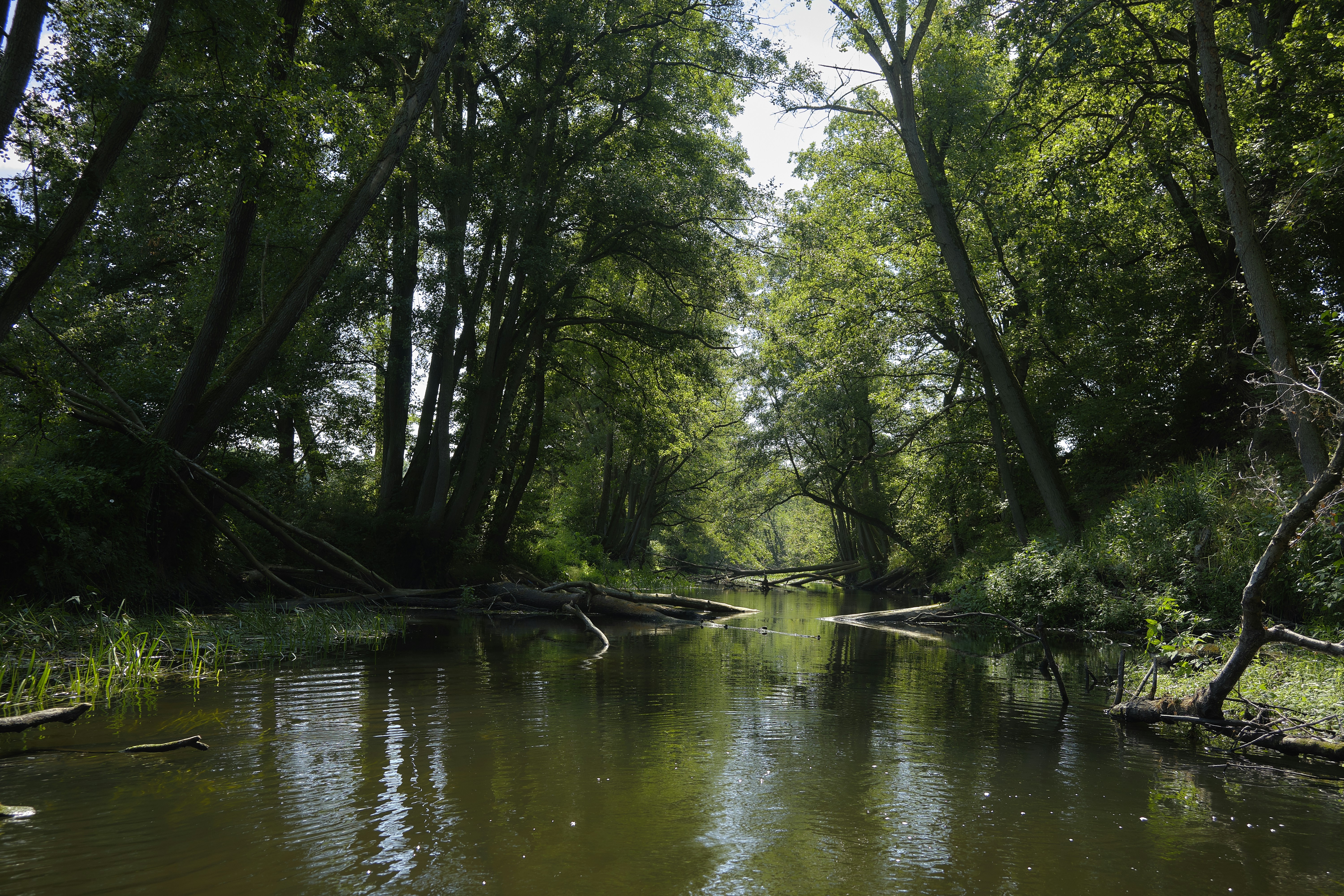 Photo by victor_vector