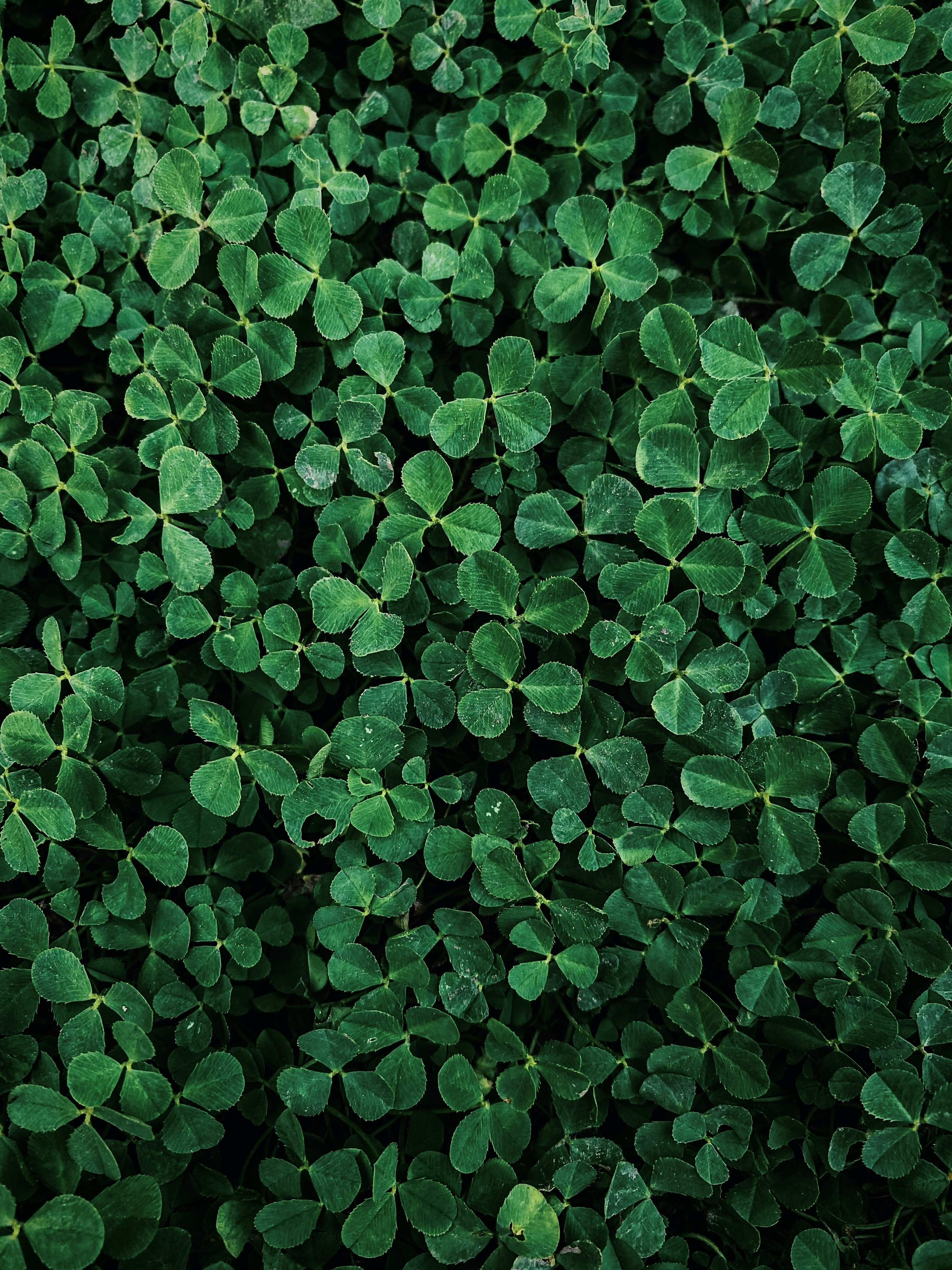 Photo by eugene_golovesov