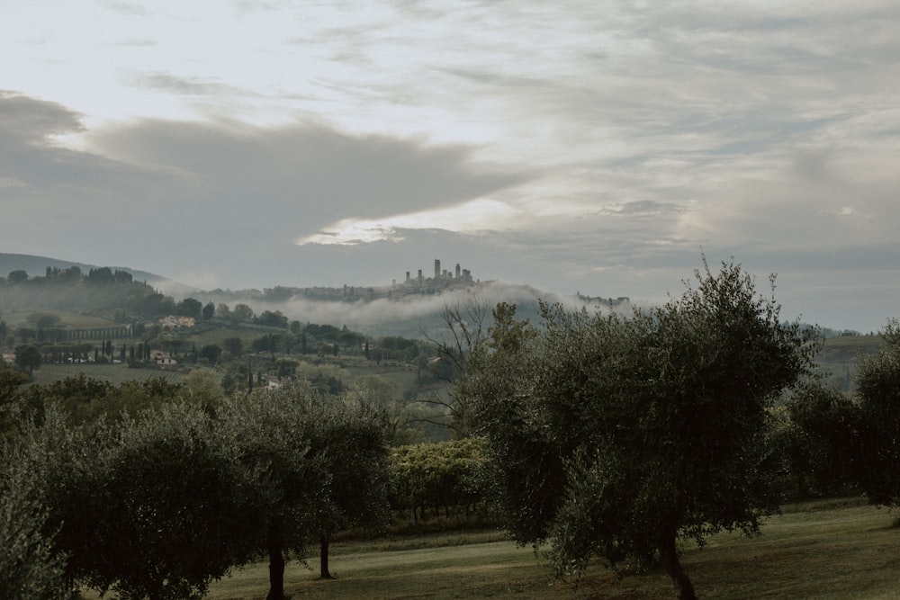 a landscape with trees and a city in the distance