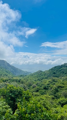 Lush green valley stretching below the residential plots with clear blue skies.