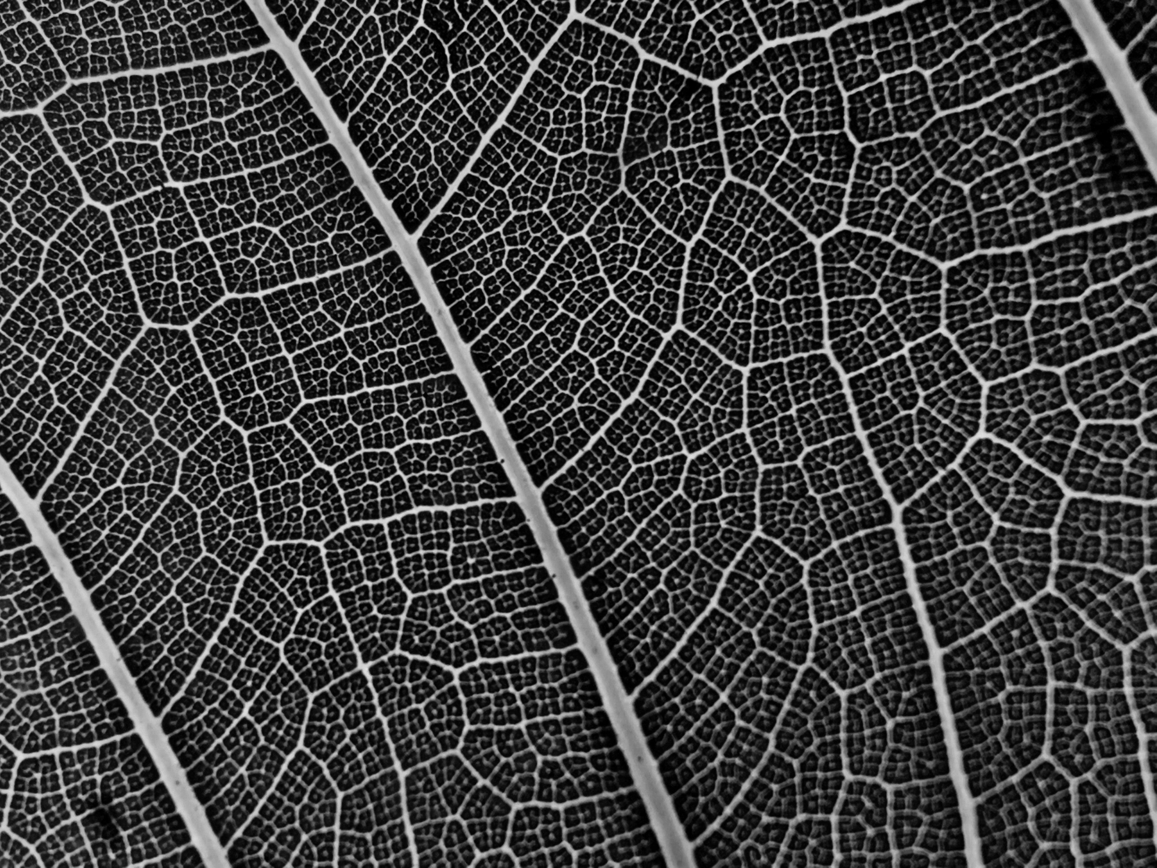 Featured image of post 混元世界模型1.1正式发布:革新3D 重建技术，秒级生成高质量场景