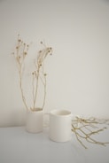 a plant in a white mug next to a white mug and a white mug