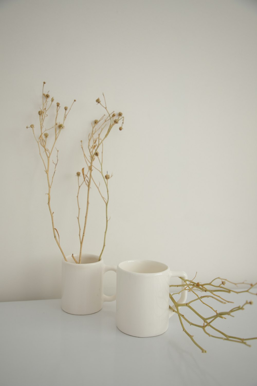 a plant in a white mug next to a white mug and a white mug