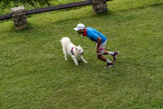 a person playing with a dog