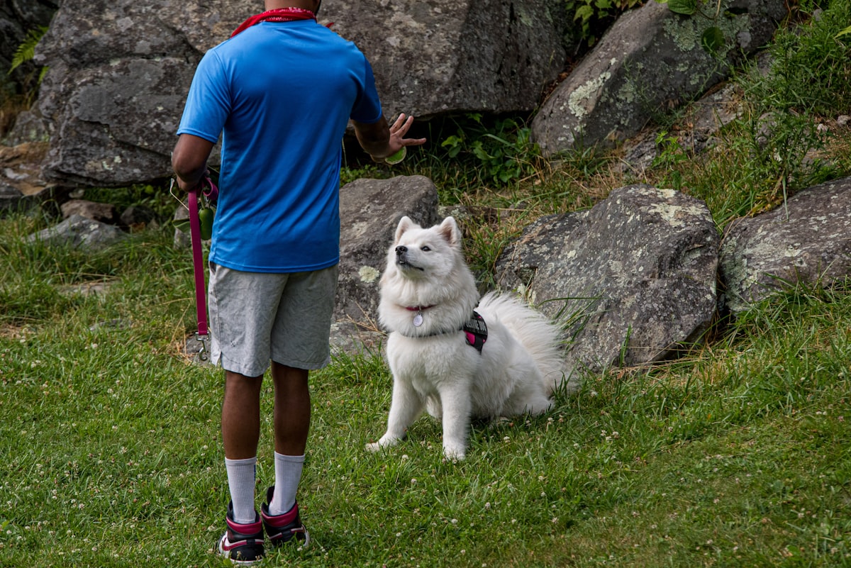 Hiker with dog on a mountain trail maintaining visual connection