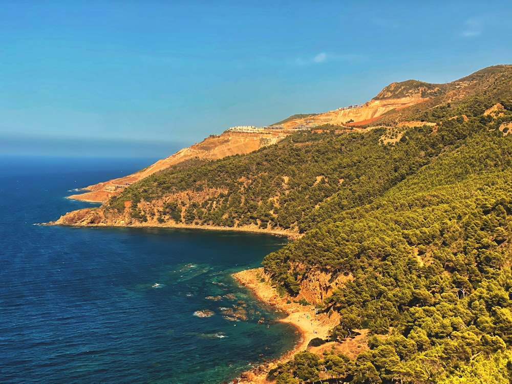 a hill with trees and water below