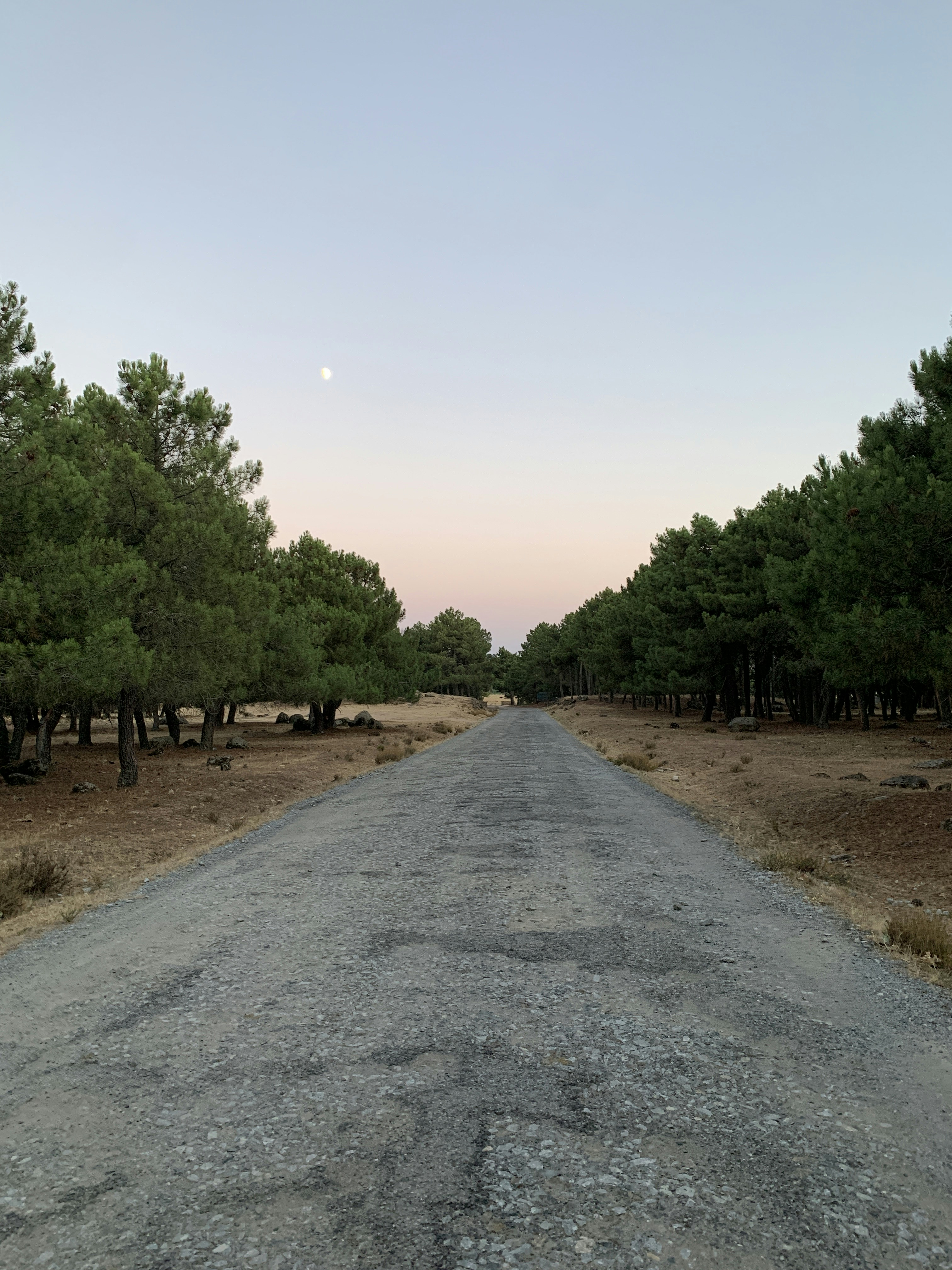 Photo by matteodelpiano