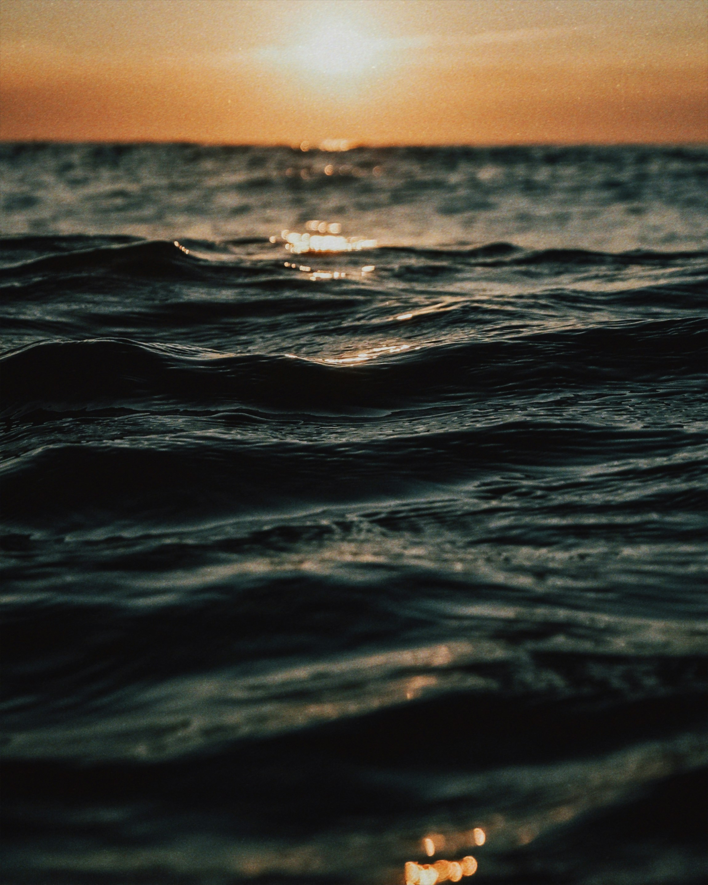 Photo by vladprih2009