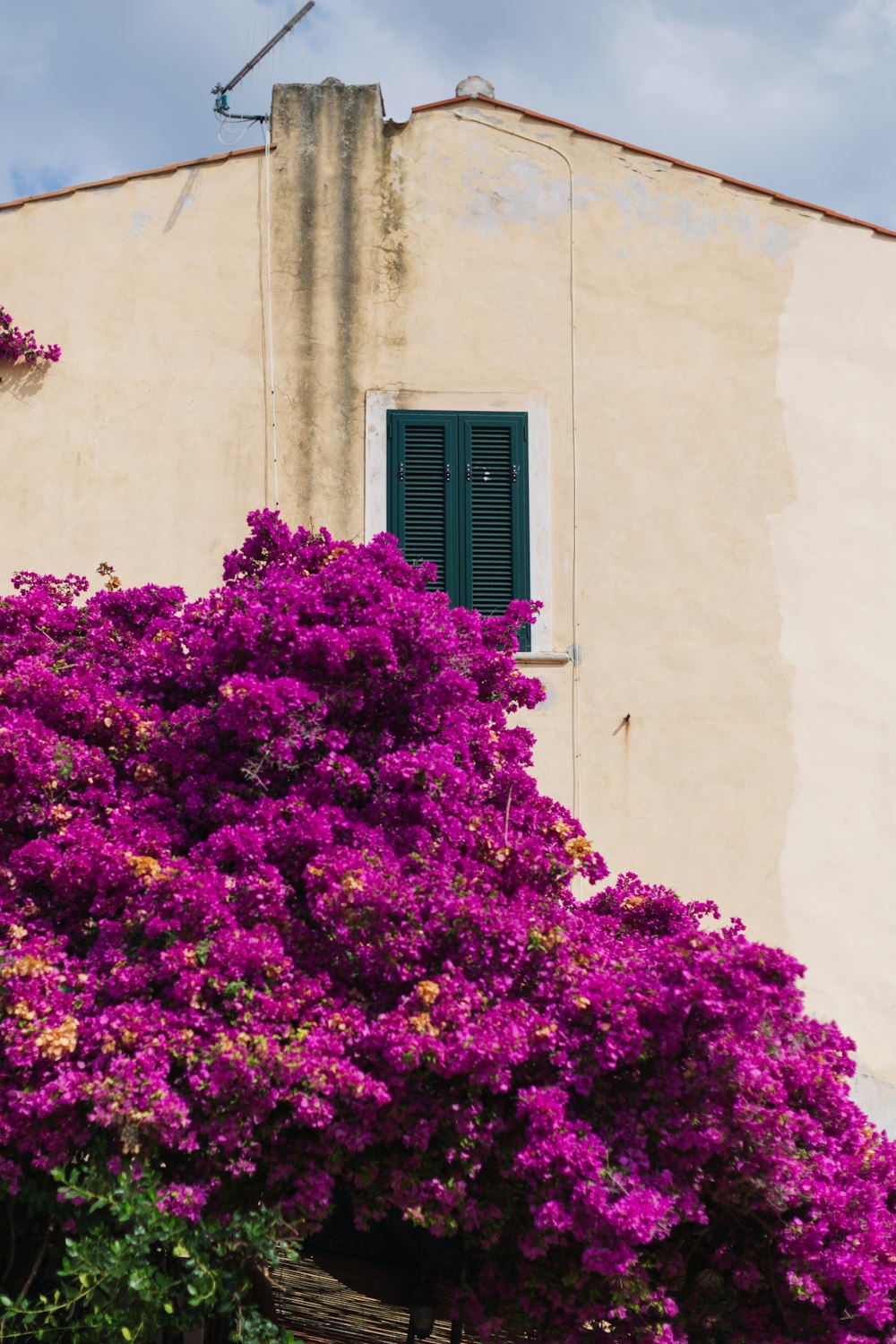 a house with a green shutter and purple flowers in front of it