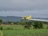 A yellow crop duster plane flying low over a green agricultural field, releasing a trail of spray. The landscape features lush greenery and a backdrop of dense trees and overcast, cloudy skies.
