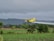 A yellow crop duster plane flying low over a green agricultural field, releasing a trail of spray. The landscape features lush greenery and a backdrop of dense trees and overcast, cloudy skies.