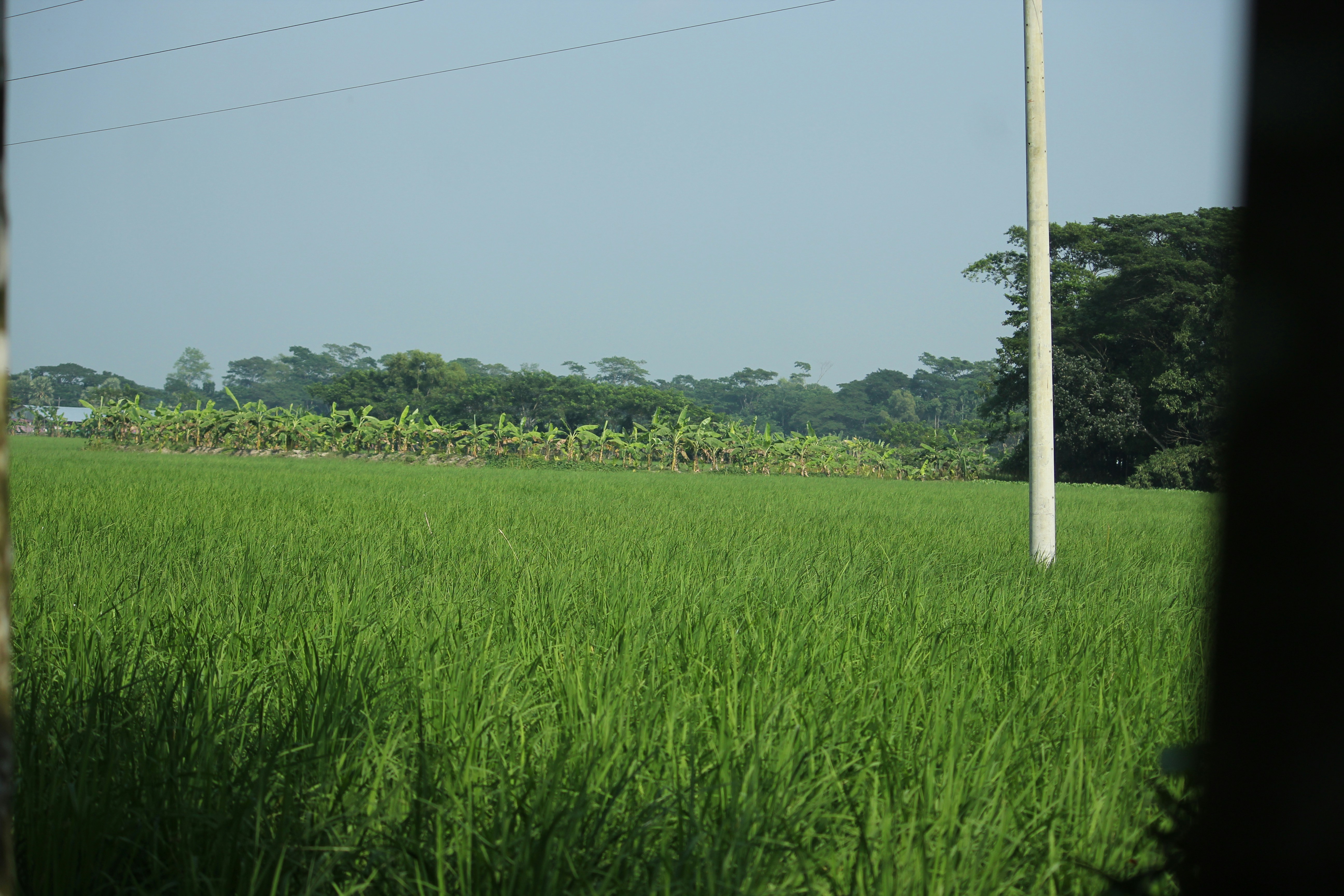 Premium Indian Agri-Commodities