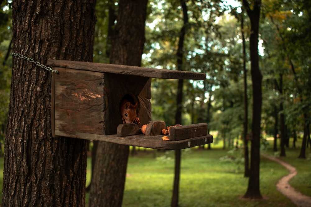 a person in a tree house