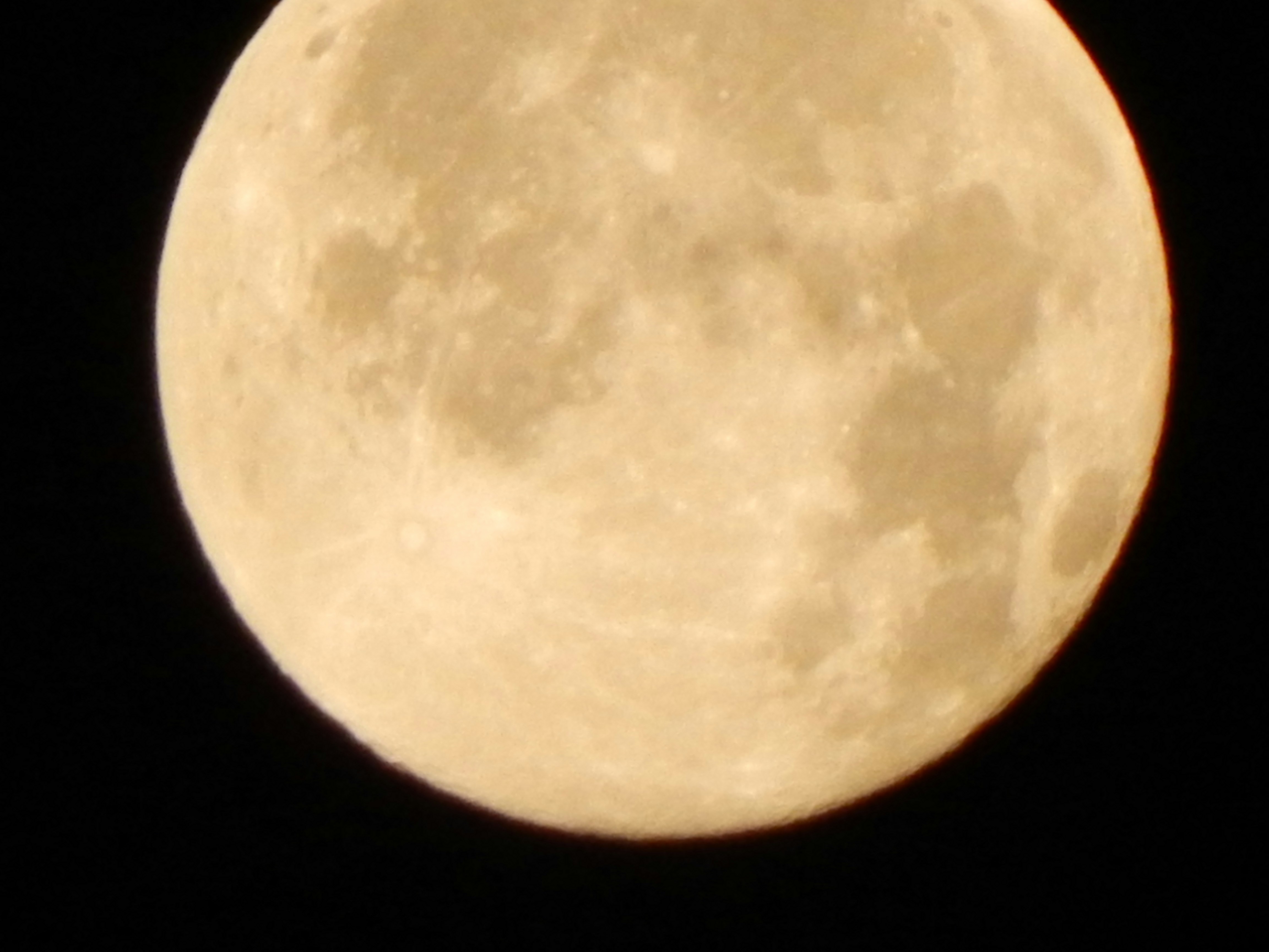 Photo by shadinnature