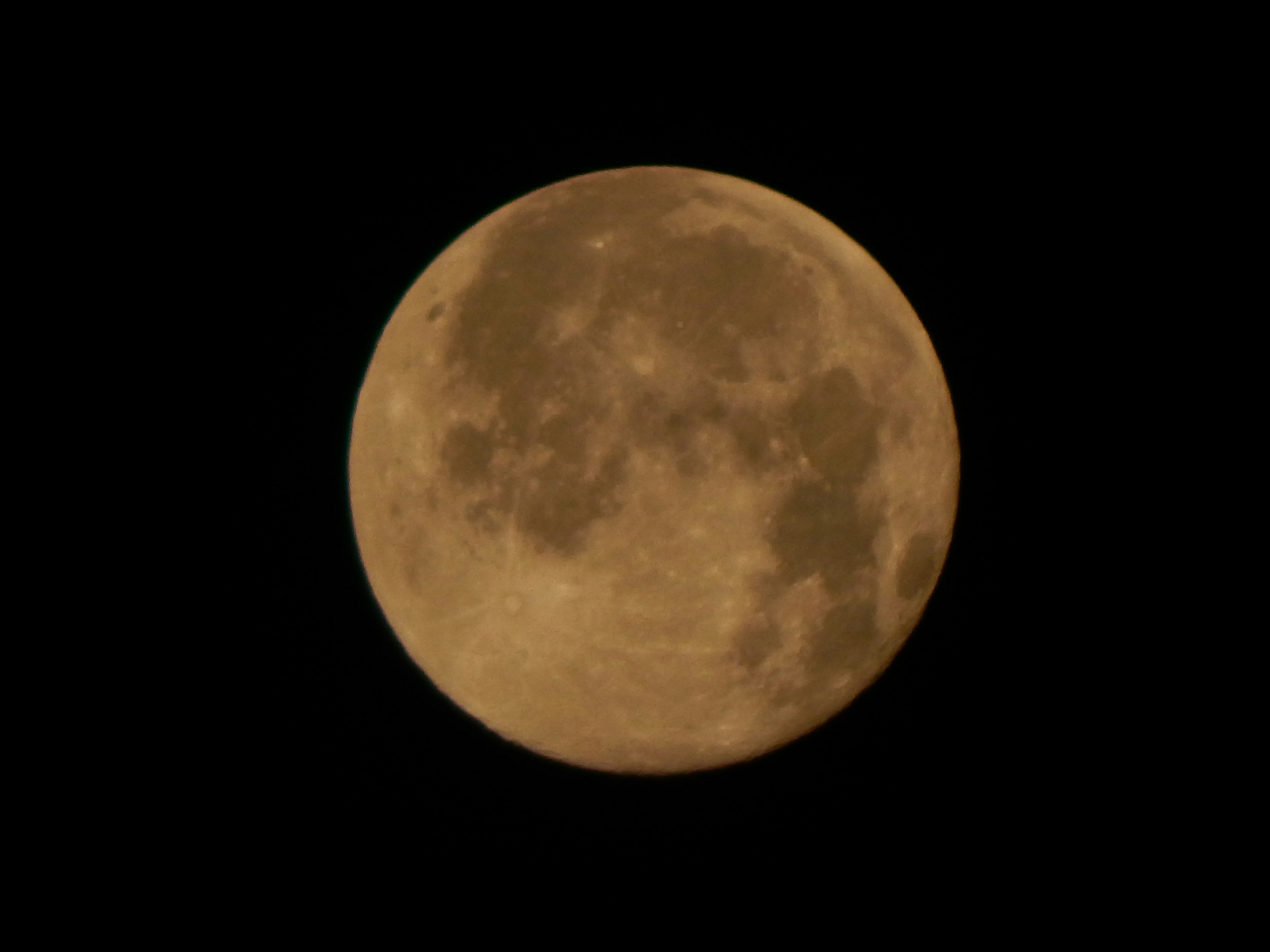 Photo by shadinnature