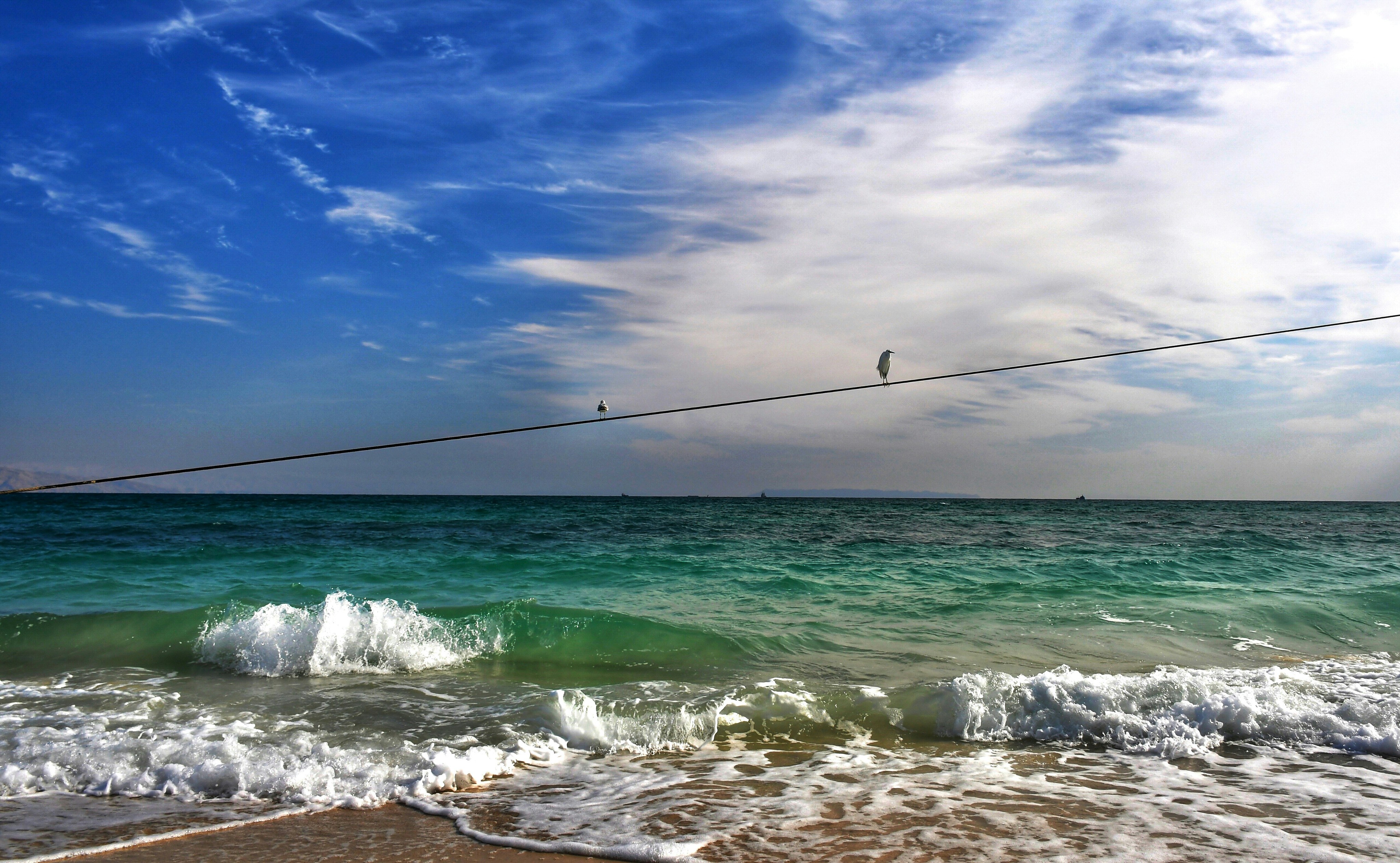 A person on a rope over the ocean photo – Free Water Image on Unsplash