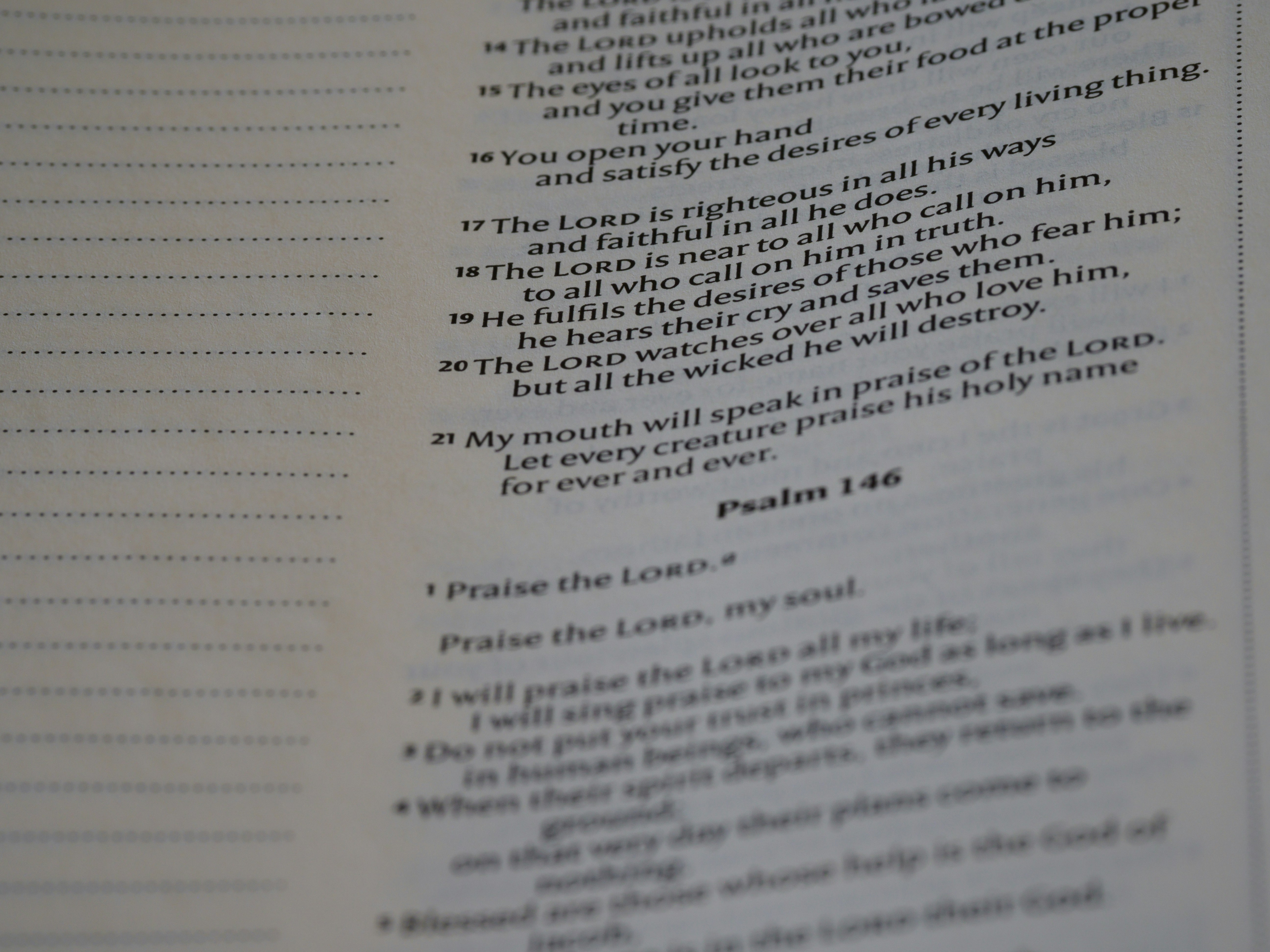 Photo by brett_jordan