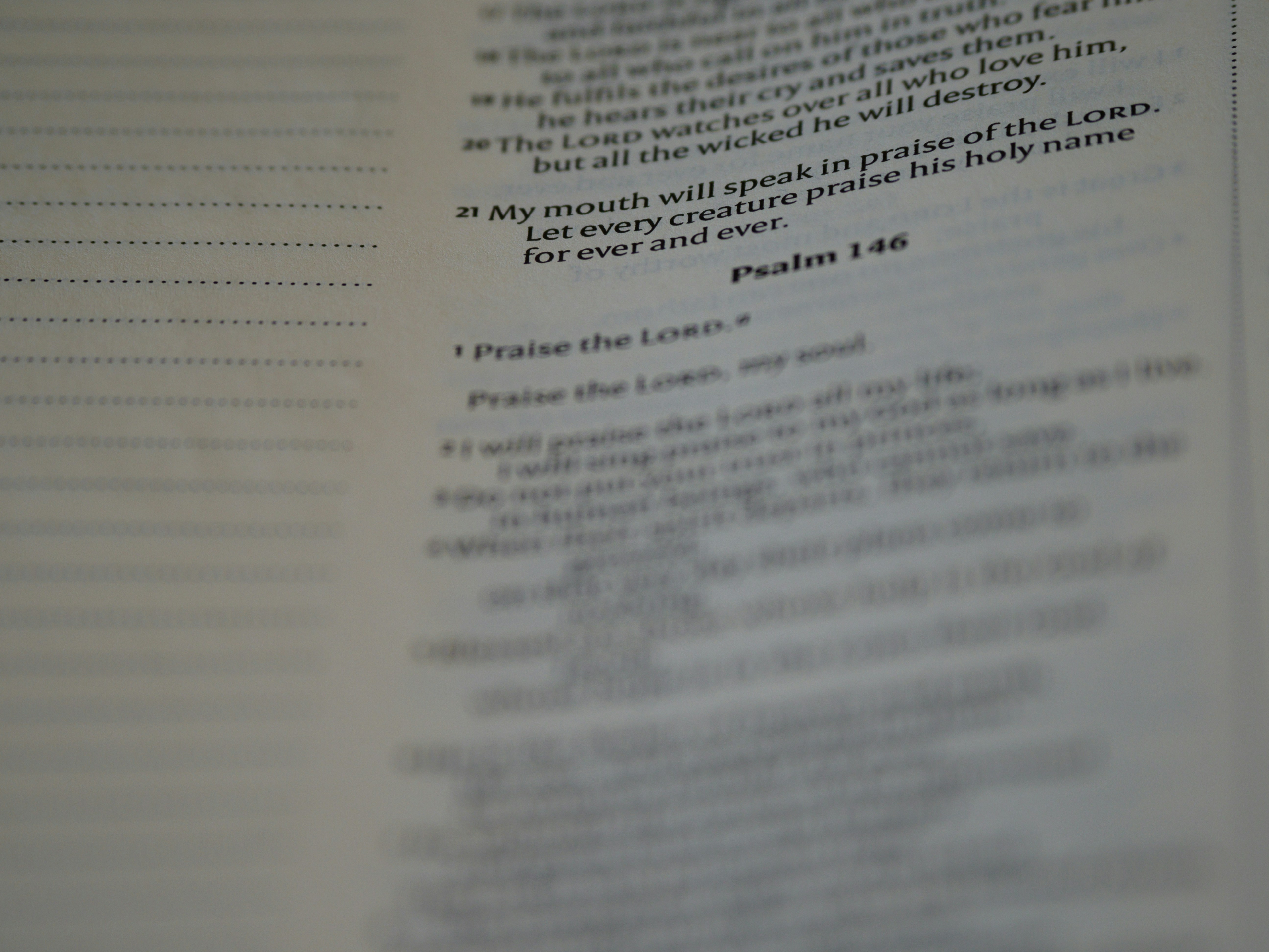 Photo by brett_jordan