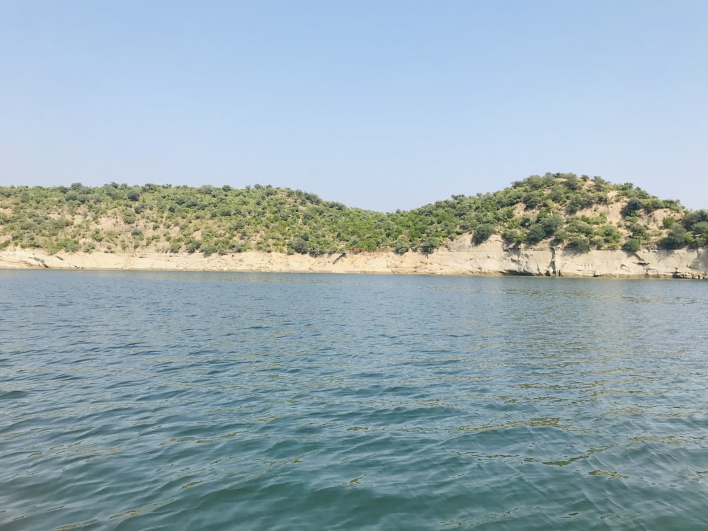 a body of water with a beach and trees in the background