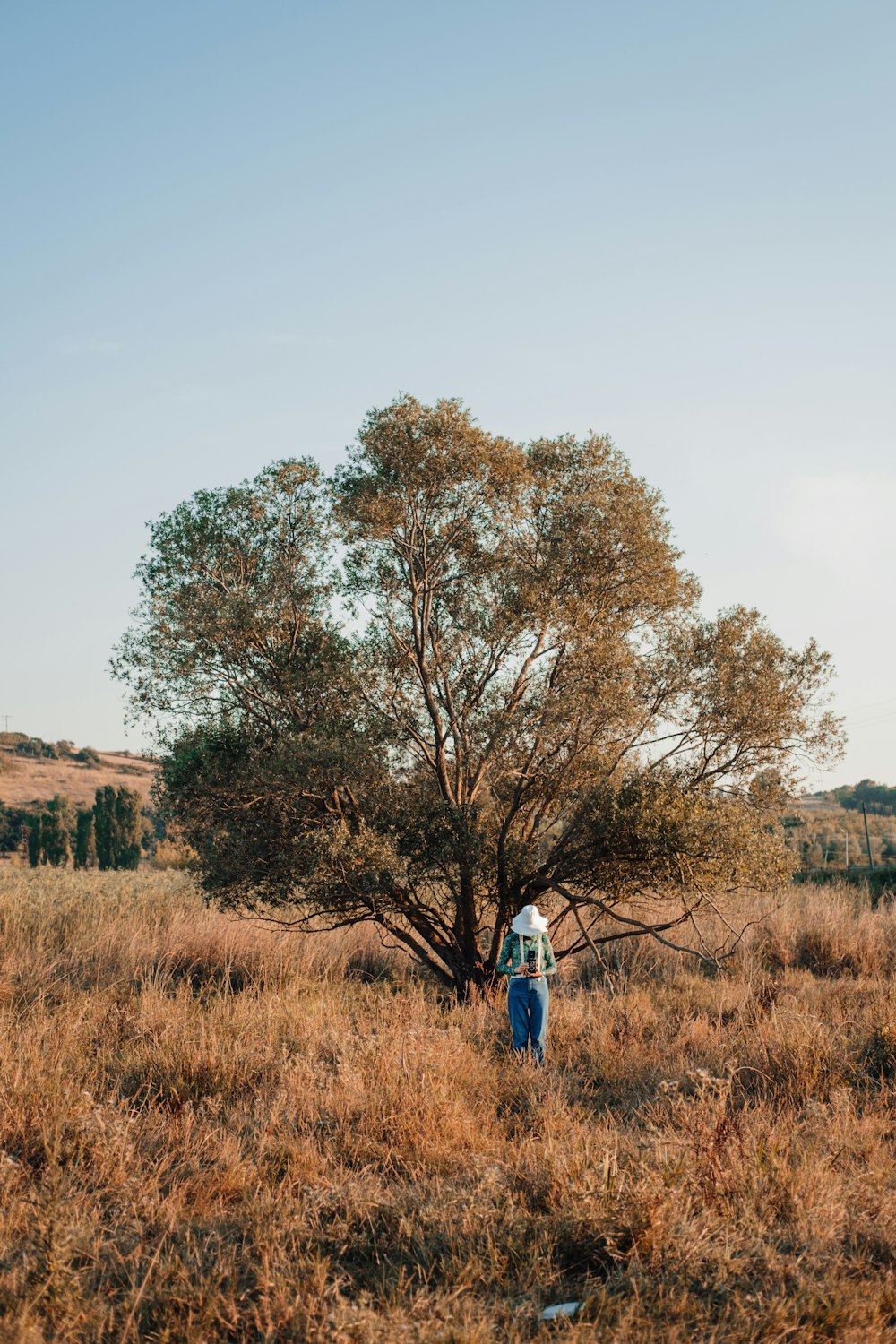 una persona in piedi accanto a un albero