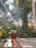 A glass cup filled with tea is placed on a sunlit surface, with sunlight creating reflections and shadows around it. In the background, there is a blurred view of greenery suggesting an outdoor setting.