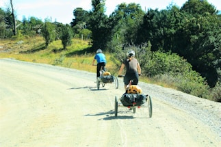Two cyclists are riding on a gravel road surrounded by lush green trees. They are equipped with helmets and their bicycles have attached trailers carrying luggage. The road curves gently through the countryside.