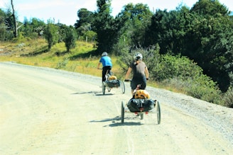 Two cyclists are riding on a gravel road surrounded by lush green trees. They are equipped with helmets and their bicycles have attached trailers carrying luggage. The road curves gently through the countryside.