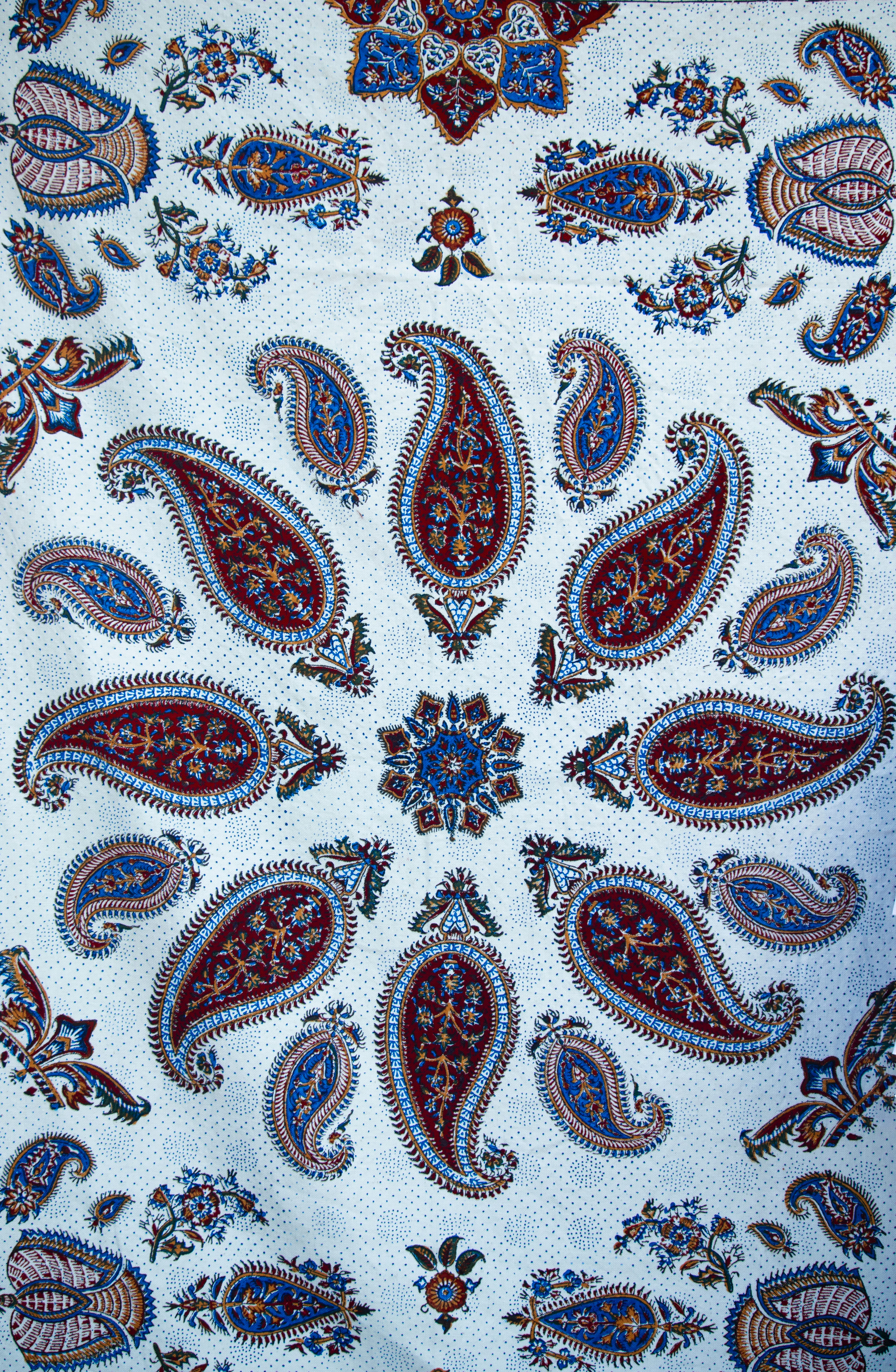 Photo by sinabahar76