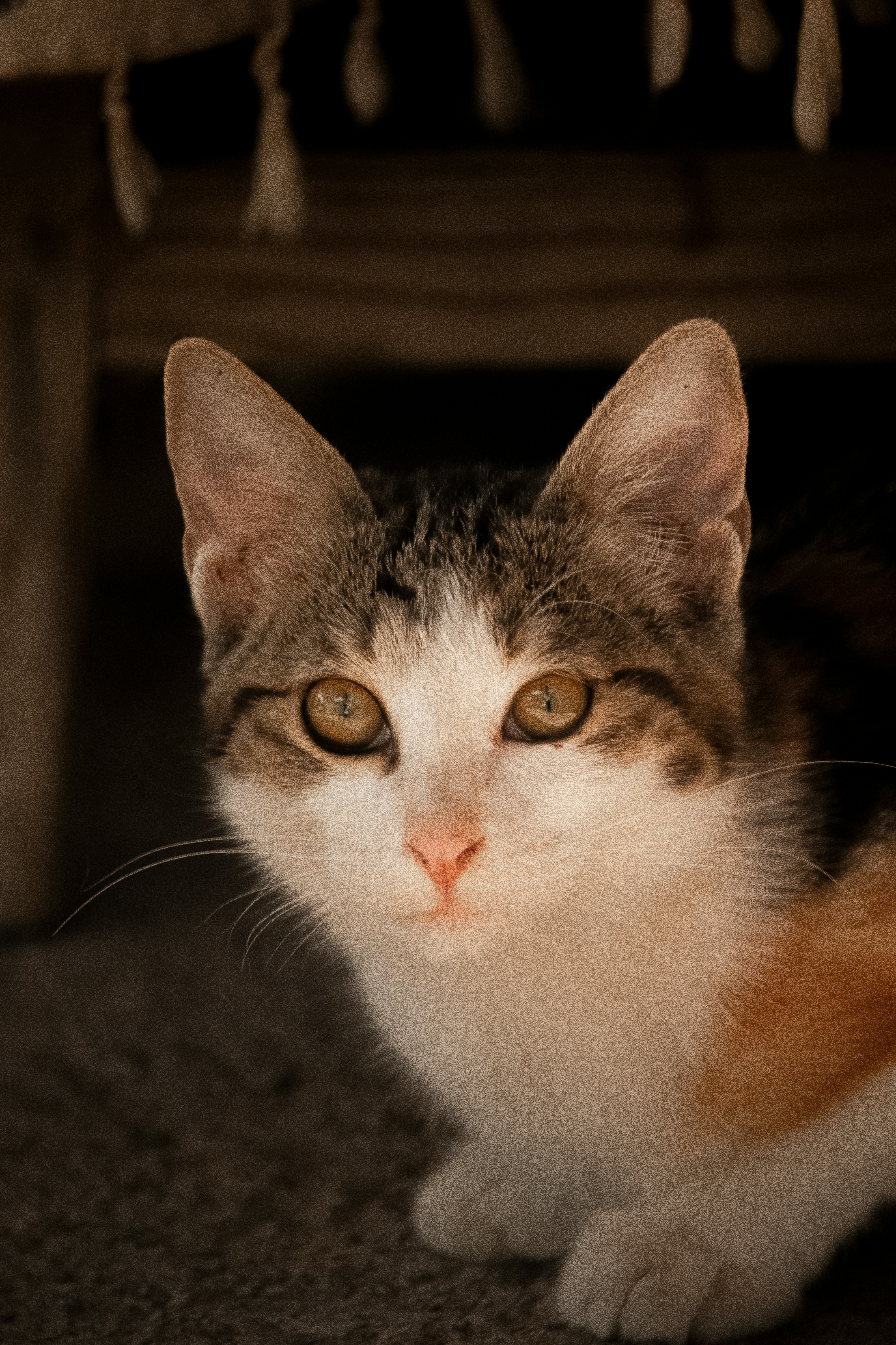 Photo by sinabahar76