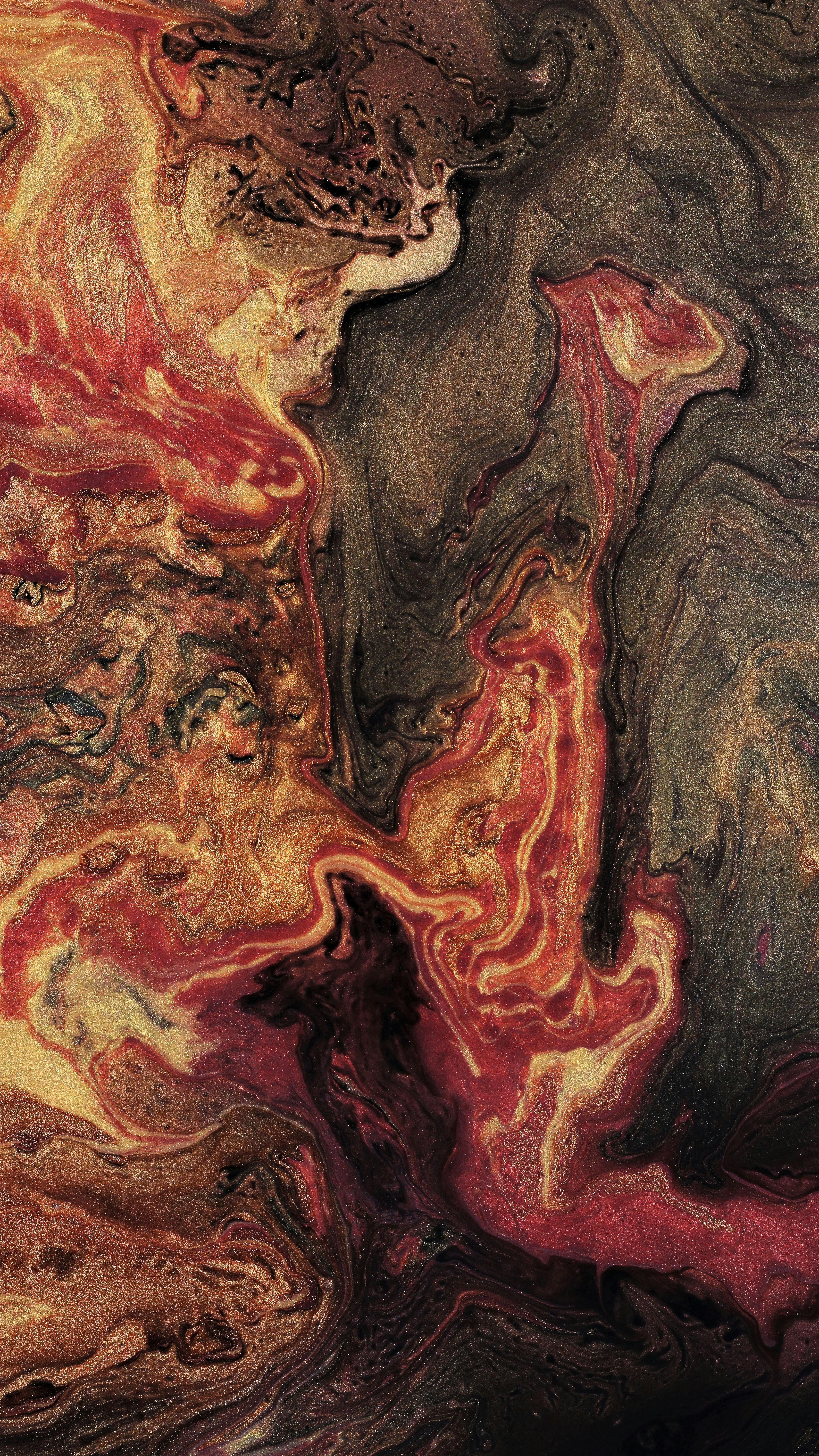 Photo by susan_wilkinson