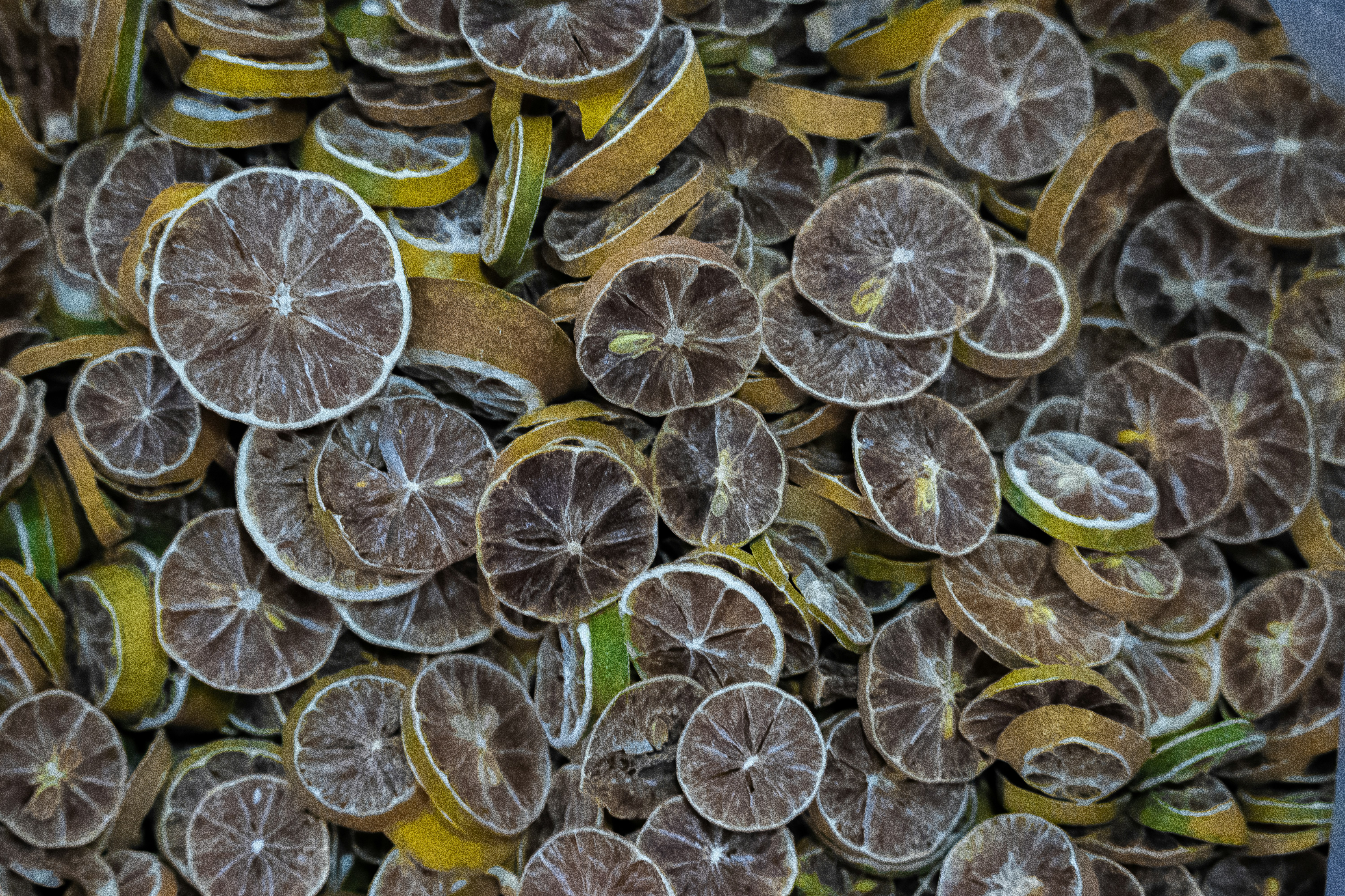 Photo by sinabahar76