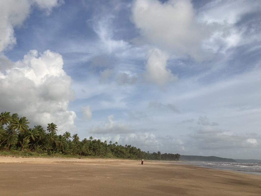 a person walking on a beach