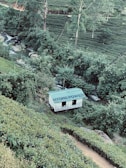 A small building with 'HYDRO POWER' written on its roof is surrounded by lush green tea plantations and trees. A narrow stream flows nearby, and terraced hills form a scenic backdrop with various shades of green.