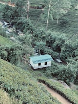 A small hydroelectric plant surrounded by lush greenery, illustrating sustainable energy production.