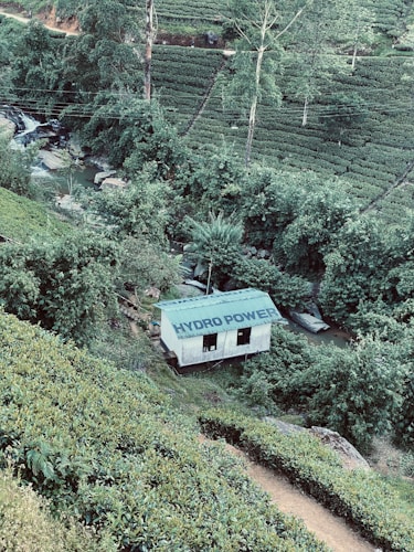 A small building with 'HYDRO POWER' written on its roof is surrounded by lush green tea plantations and trees. A narrow stream flows nearby, and terraced hills form a scenic backdrop with various shades of green.