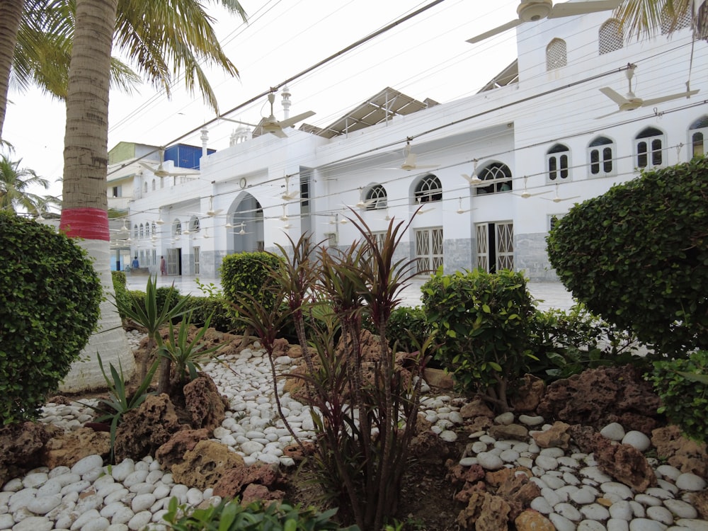 a white building with a garden