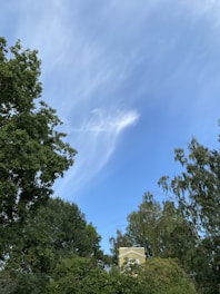 A beautiful real estate property with a clear blue sky in the background.