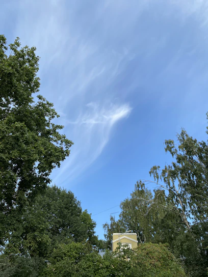 A friendly real estate agent showing a family a beautiful plot of land under a clear blue sky.
